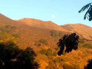 California's Golden mountains